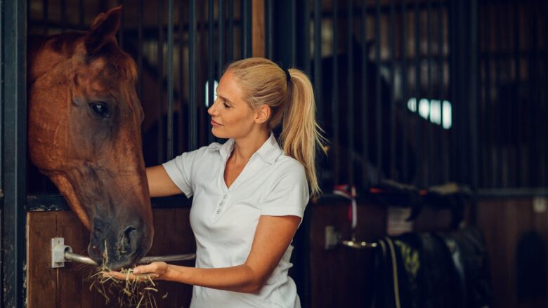 Unlocking the Secrets of Horse Care: Start Your Journey Here!